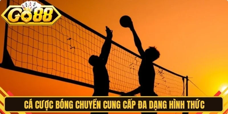 Cá cược bóng chuyền cung cấp đa dạng hình thức cho anh em lựa chọn